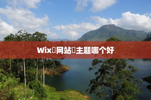 Wix‌网站‌主题哪个好